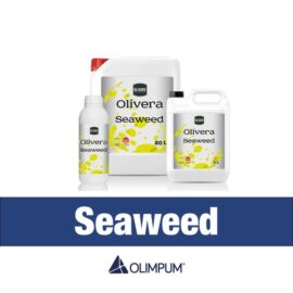 Olivera Yosunu 1LT