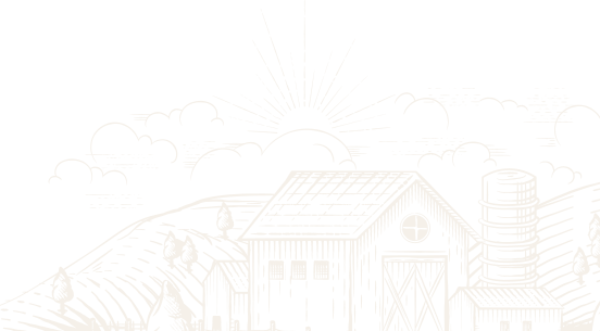 provide-one-shape-1.png